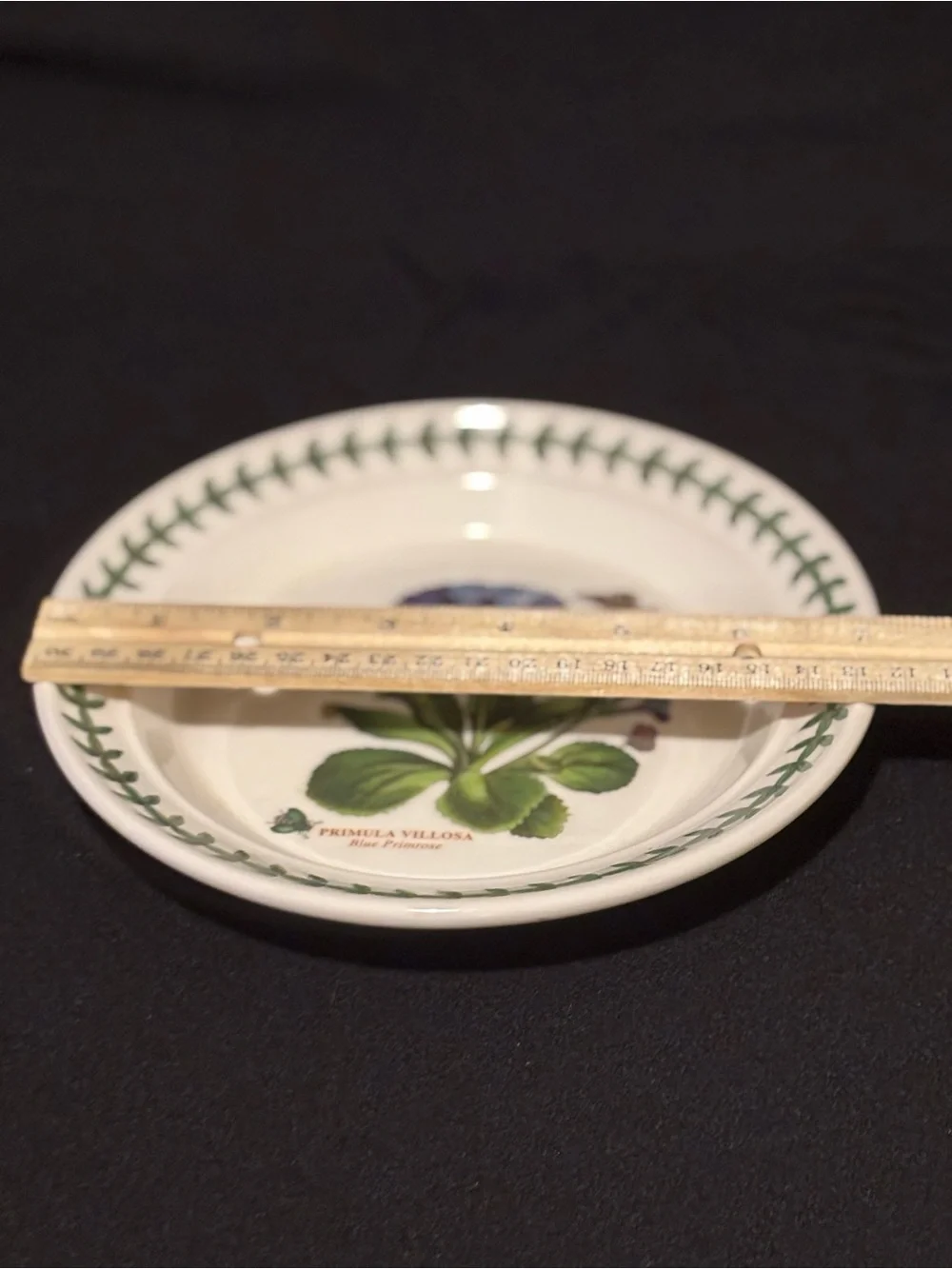 Portmeirion Botanic Garden Primula Villosa 7” Side Plate